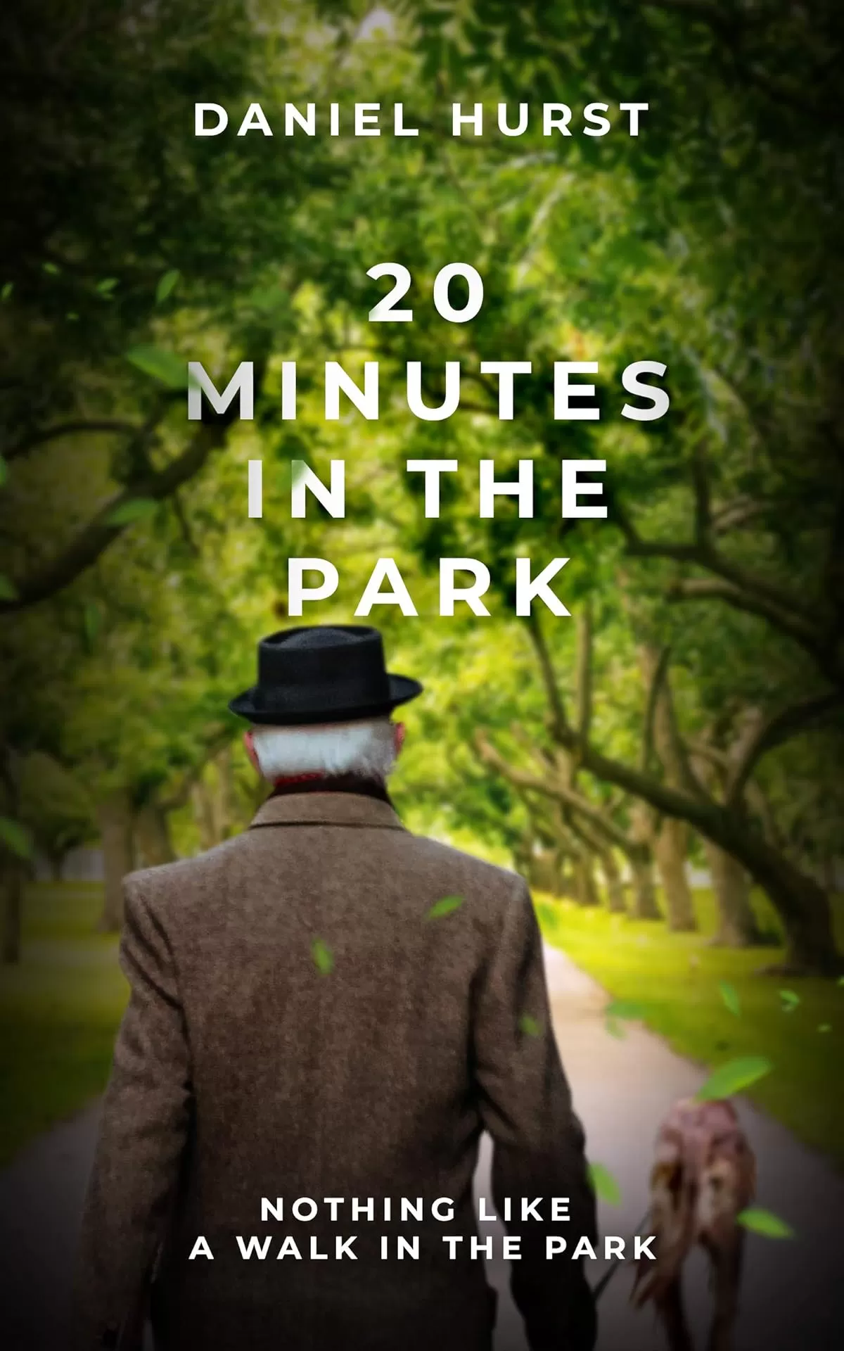20 Minutes In The Park (20 Minute Series #3) by Daniel Hurst