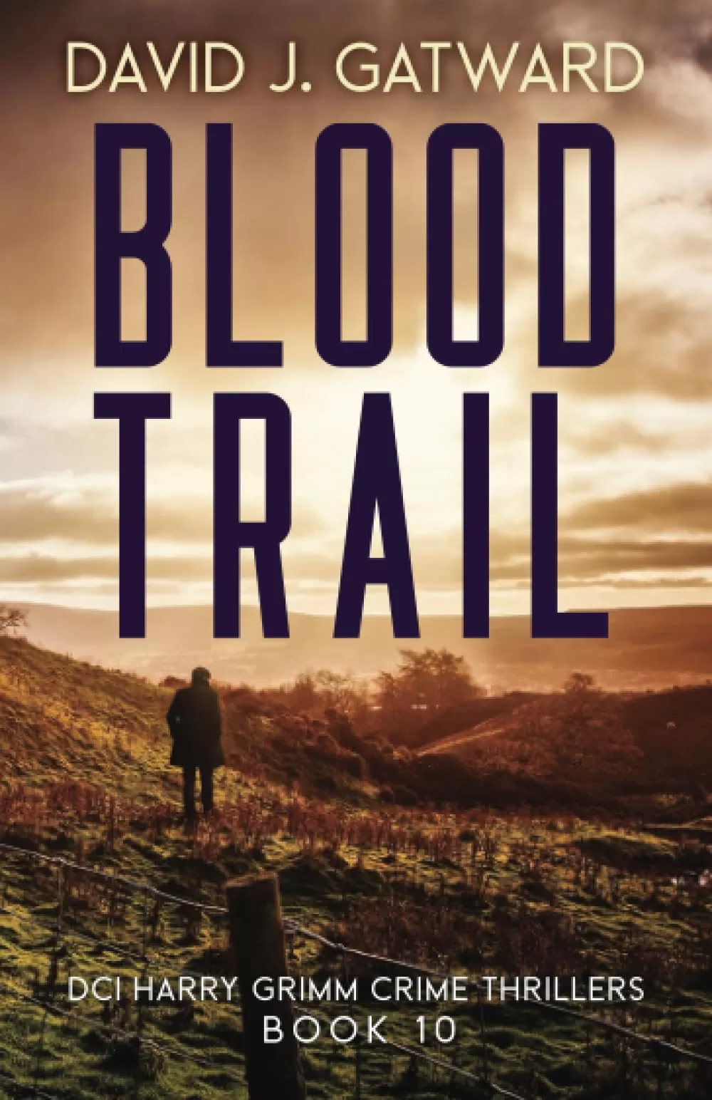Blood Trail (DCI Harry Grimm Crime Thrillers #10) by David J. Gatward