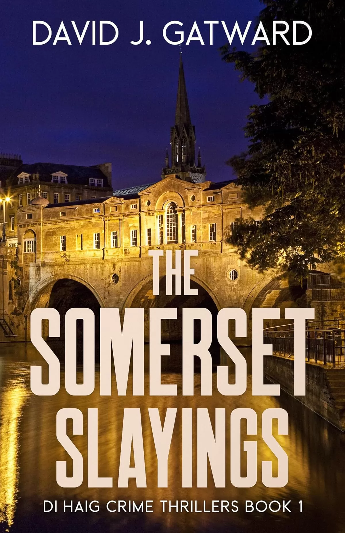 The Somerset Slayings (DI Haig Crime Thrillers #1) by David J. Gatward