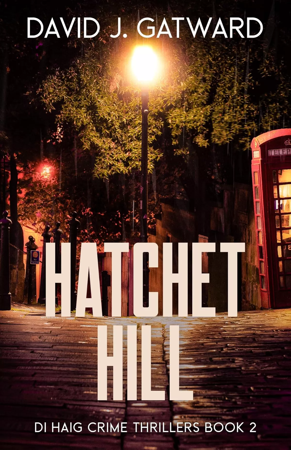 Hatchet Hill (DI Haig Crime Thrillers #2) by David J. Gatward