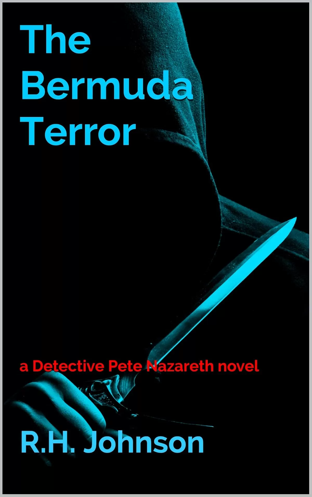 The Bermuda Terror (The Detective Pete Nazareth Series #8) by R.H. Johnson