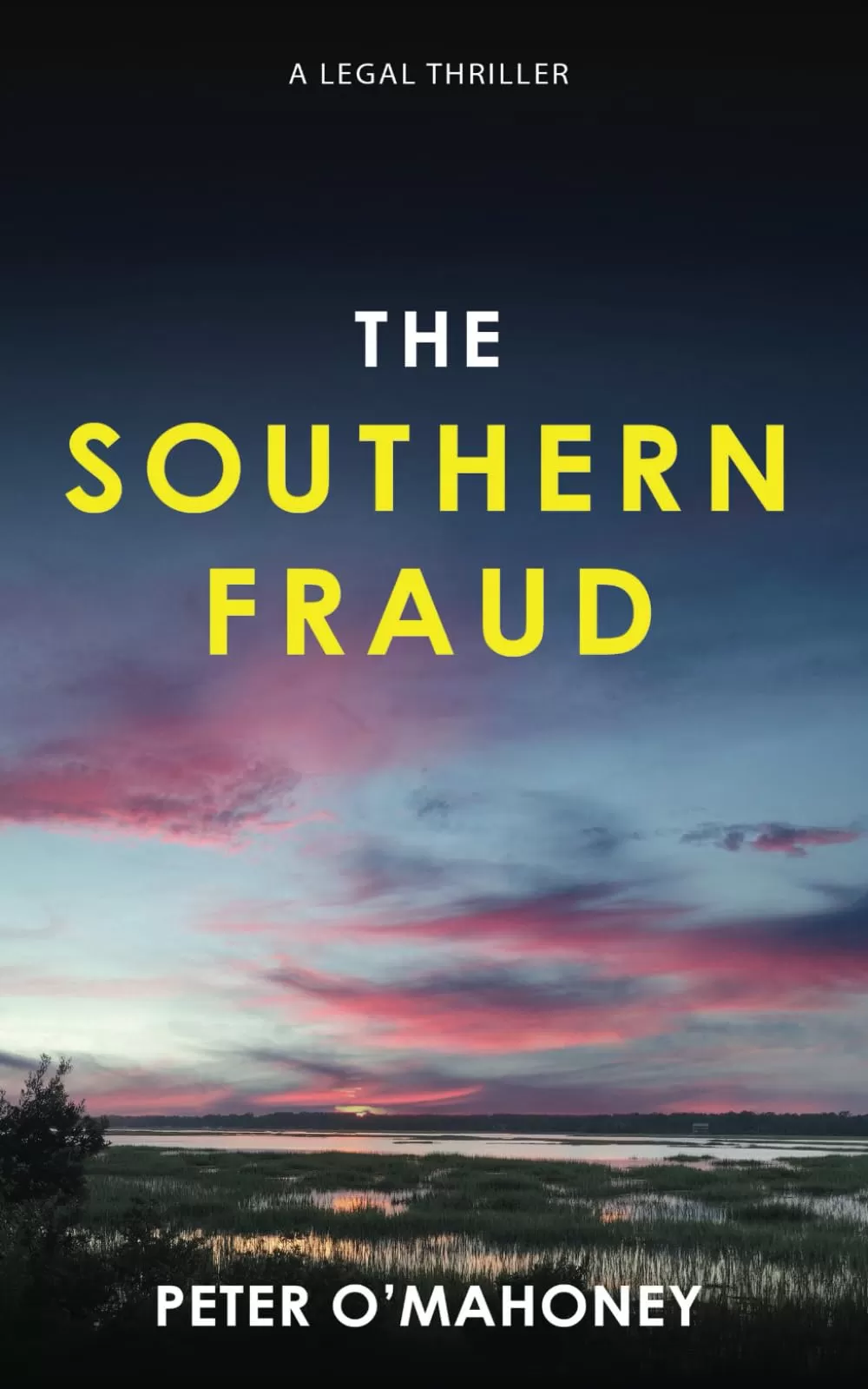The Southern Fraud (The Southern Lawyer Series #5) by Peter O'Mahoney
