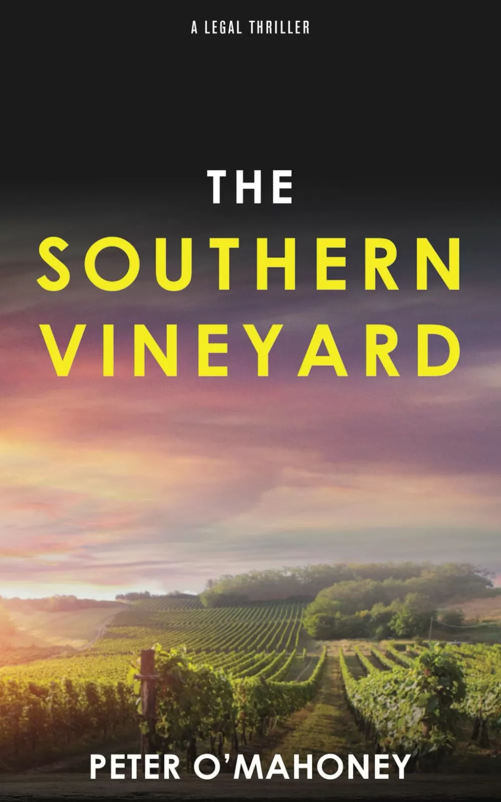 The Southern Vineyard (The Southern Lawyer Series #6) by Peter O'Mahoney