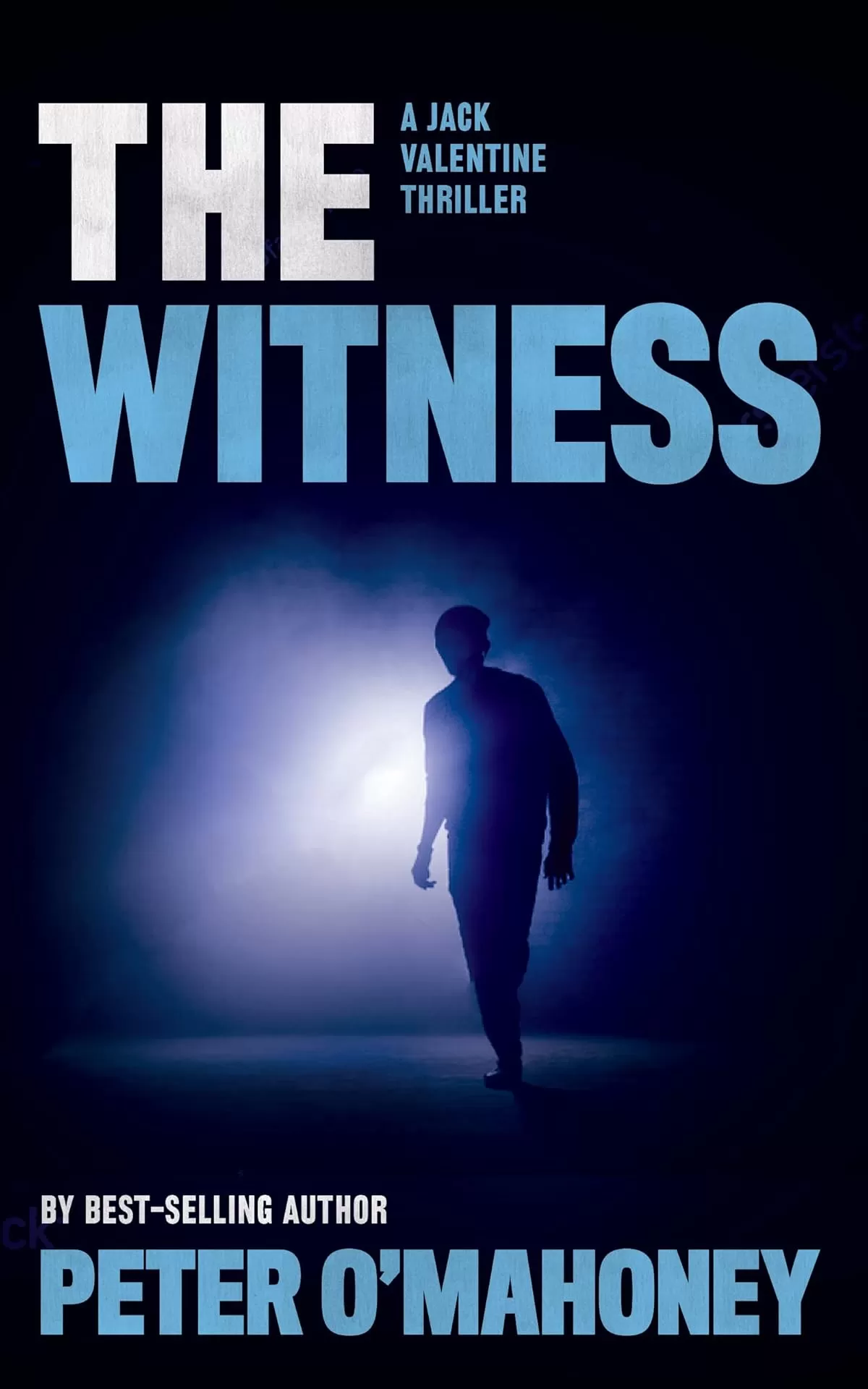 The Witness (Jack Valentine Series #5) by Peter O'Mahoney