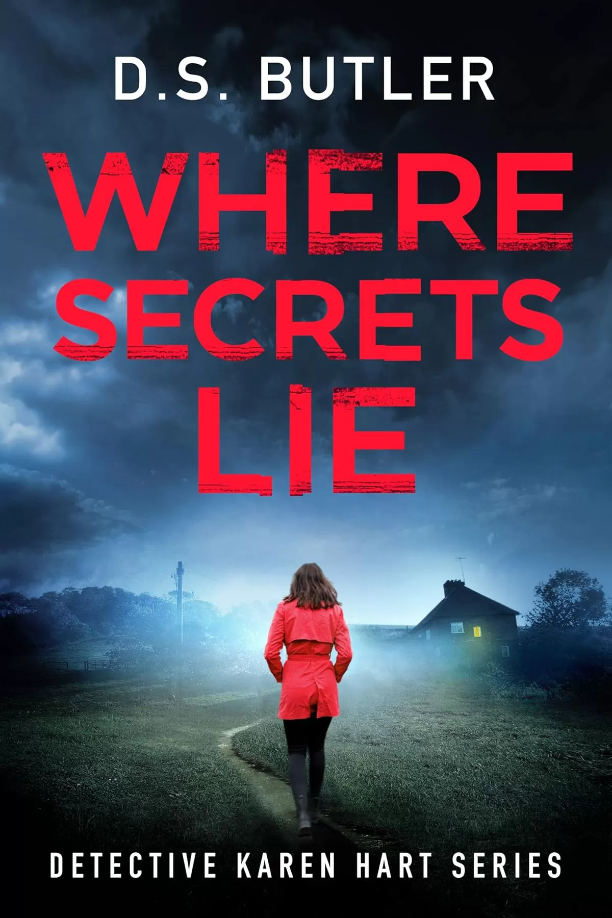 Where Secrets Lie (Detective Karen Hart #2) by D. S. Butler