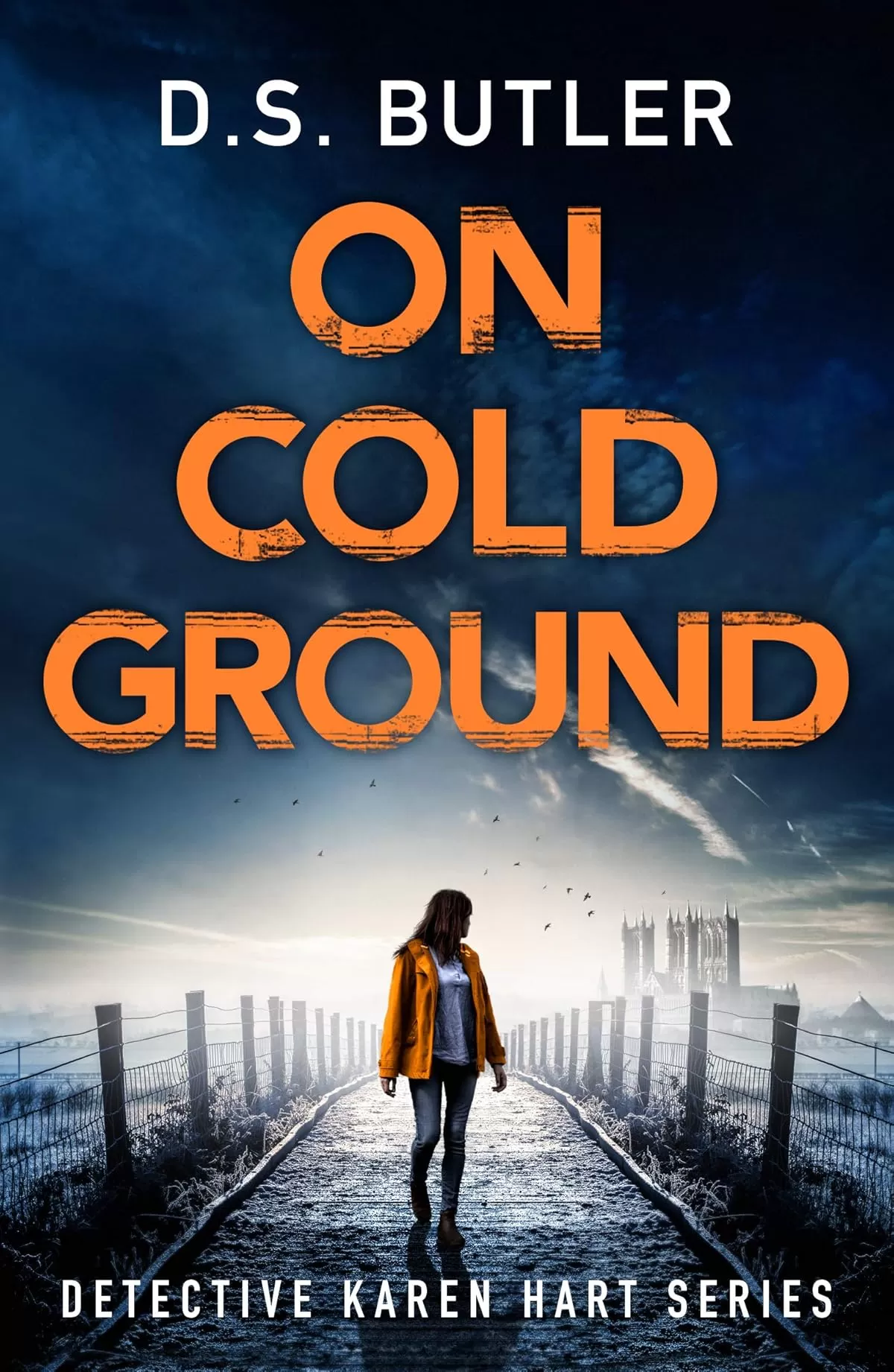 On Cold Ground (Detective Karen Hart #5) by D. S. Butler