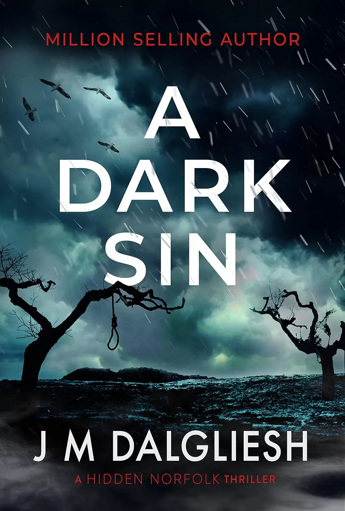 A Dark Sin (Hidden Norfolk #8) by J M Dalgliesh