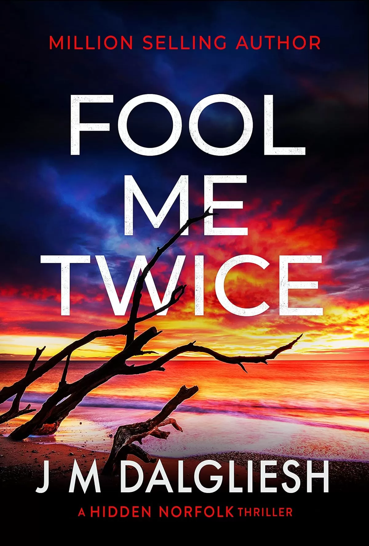 Fool Me Twice (Hidden Norfolk #10) by J M Dalgliesh