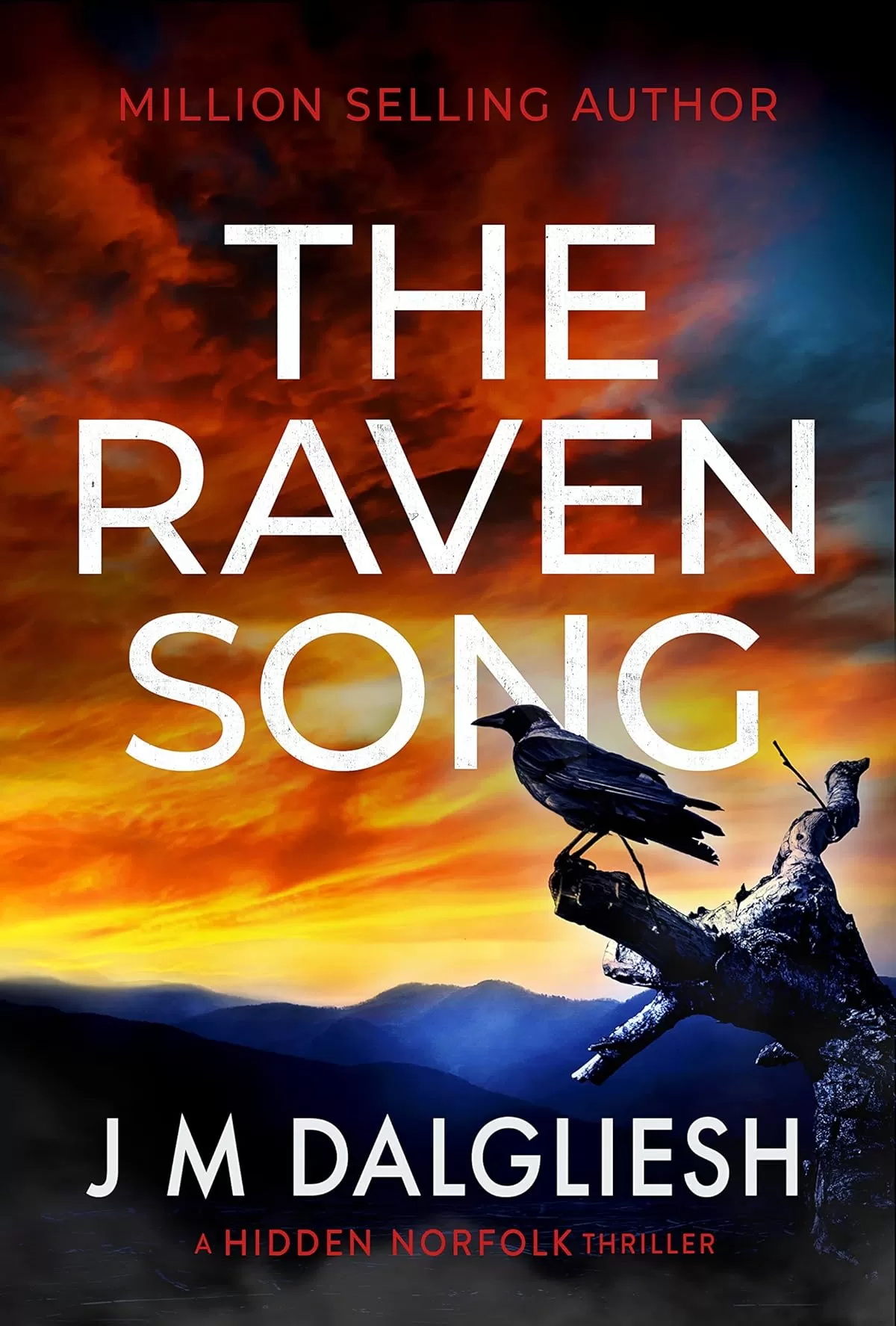 The Raven Song (Hidden Norfolk #11) by J M Dalgliesh