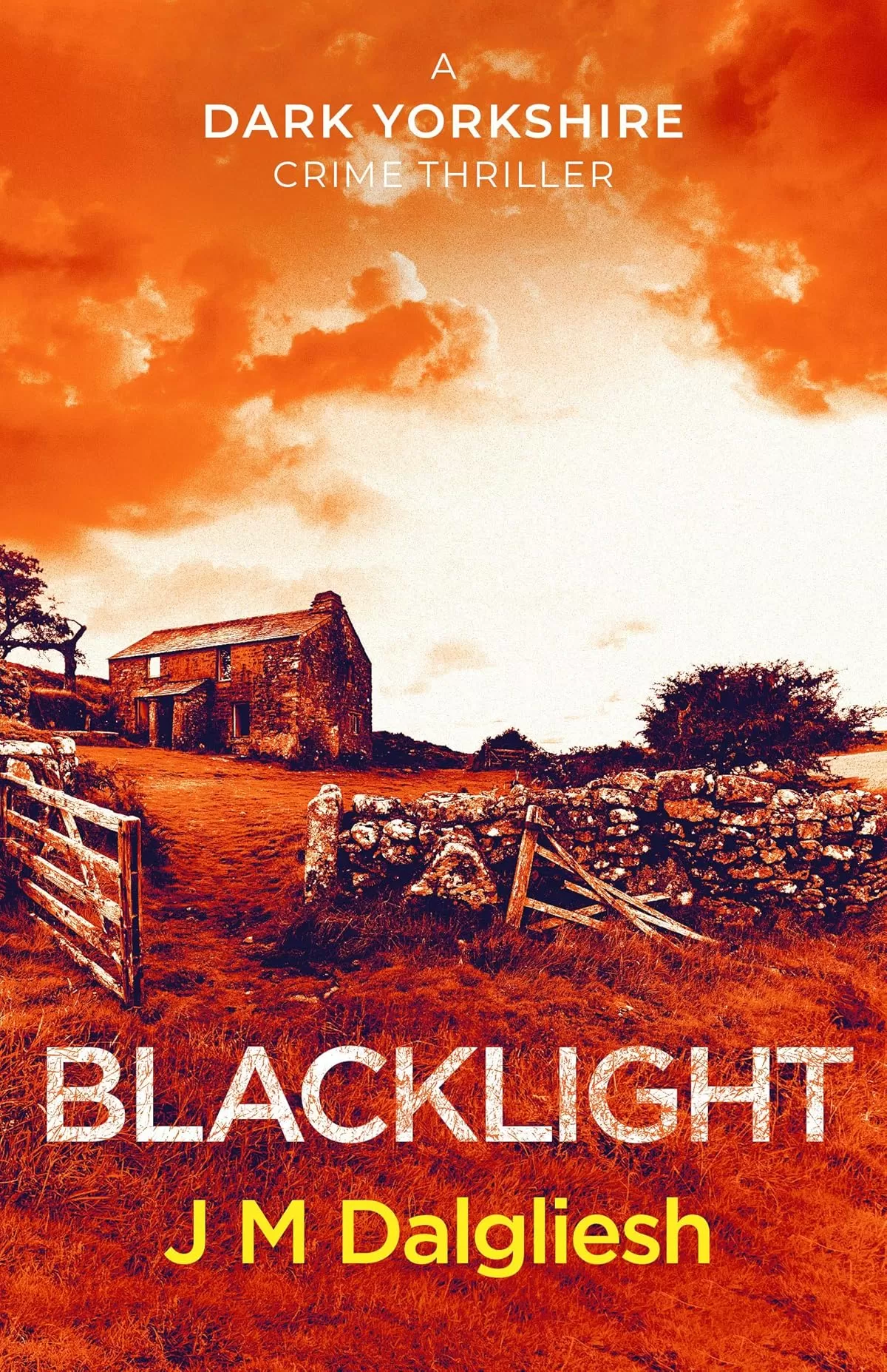 Blacklight (The Dark Yorkshire Crime Thrillers #2) by J M Dalgliesh