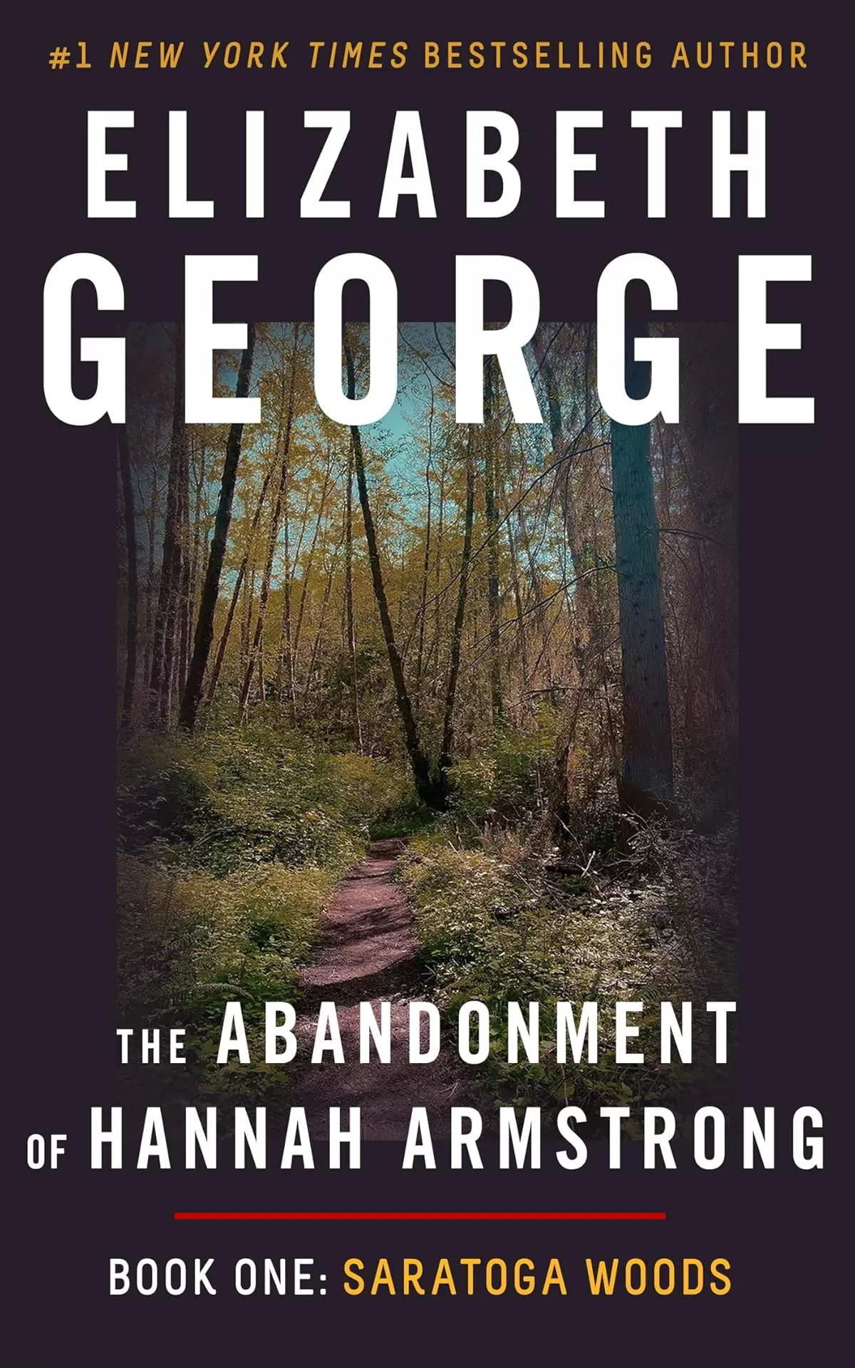 Saratoga Woods (The Abandonment of Hannah Armstrong #1) by Elizabeth George