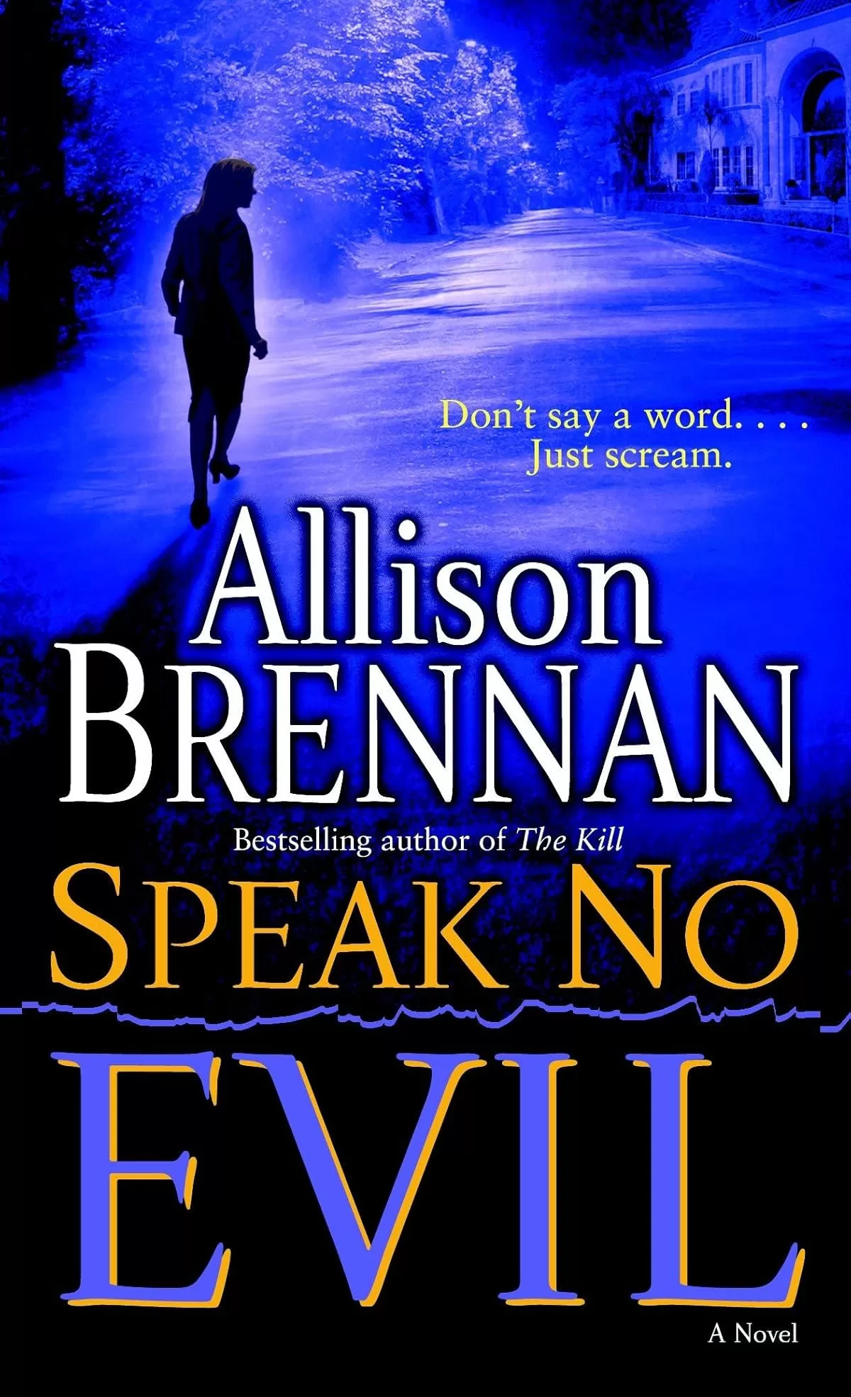 Speak No Evil (No Evil Trilogy #1) by Allison Brennan