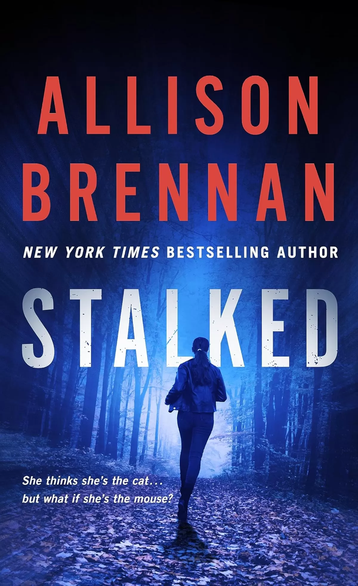 Stalked (Lucy Kincaid Novels #5) by Allison Brennan