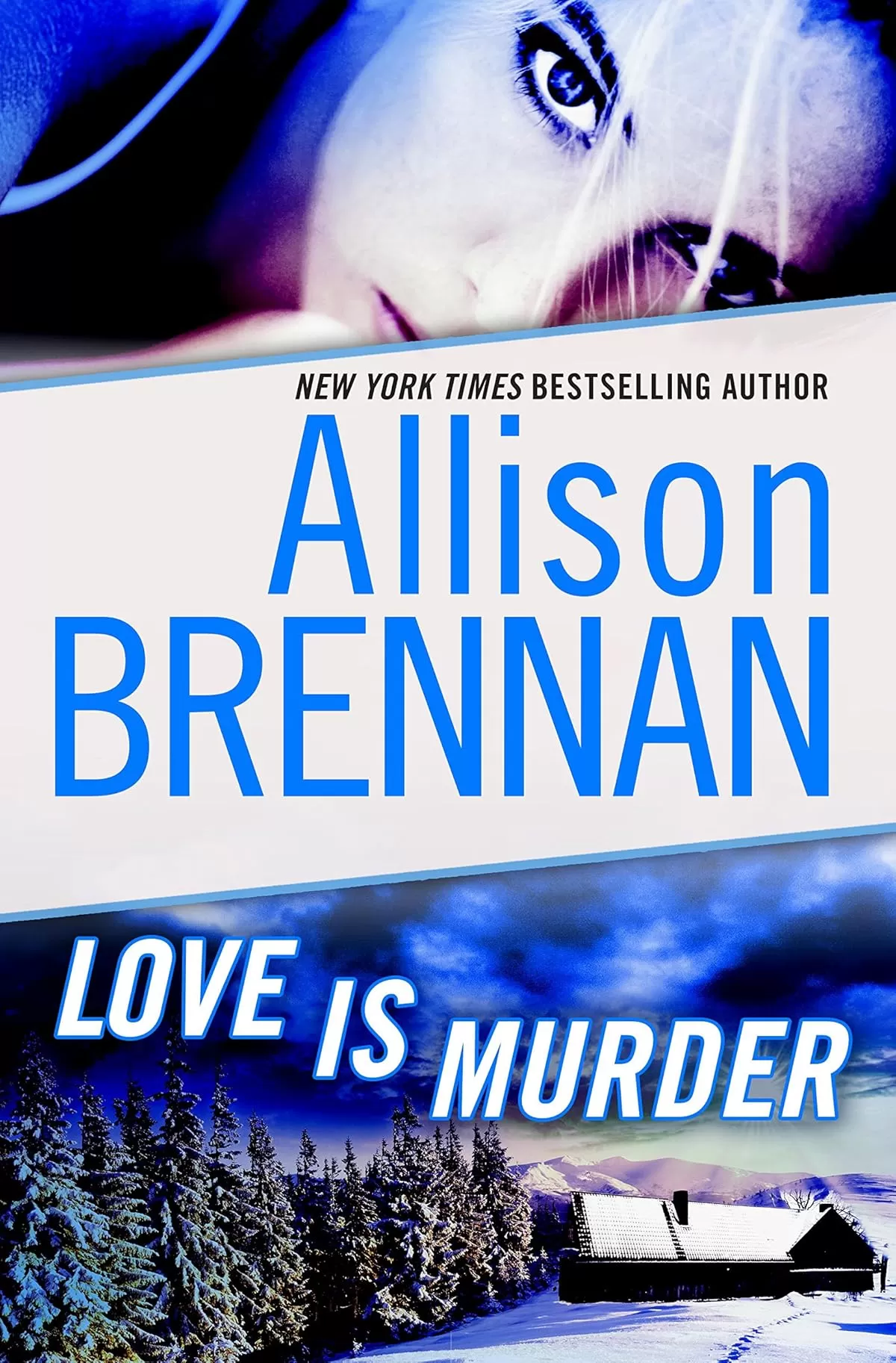 Love Is Murder (Lucy Kincaid Novels #0.5) by Allison Brennan