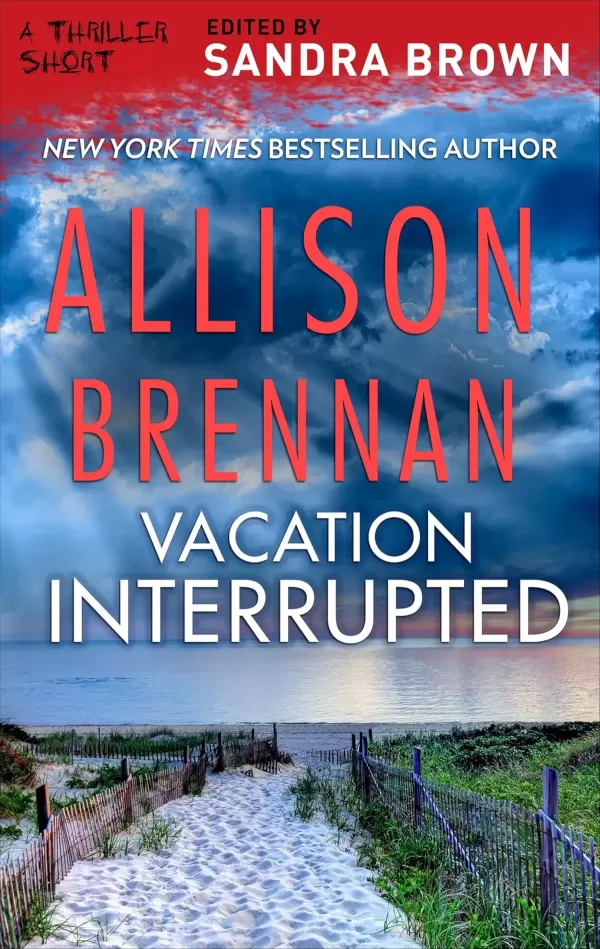 Vacation Interrupted (Lucy Kincaid Novels #4.5) by Allison Brennan