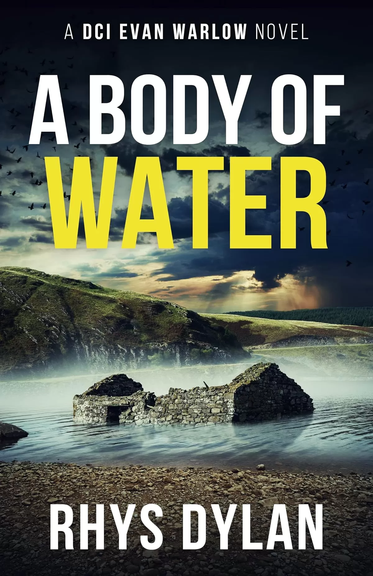 A Body of Water (DCI Evan Warlow Crime Thriller #8) by Rhys Dylan