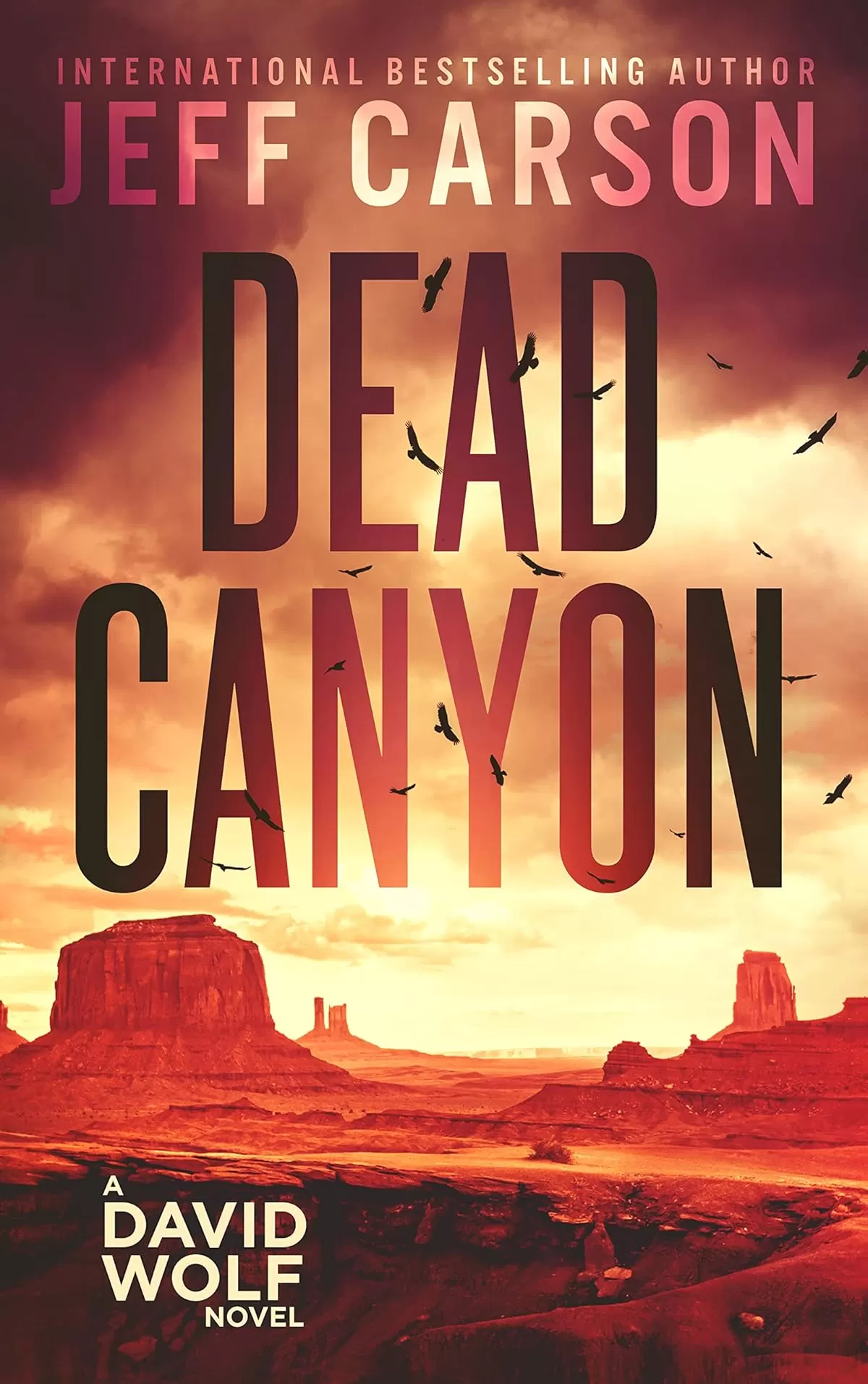 Dead Canyon (David Wolf Mystery Thriller Series #16) by Jeff Carson