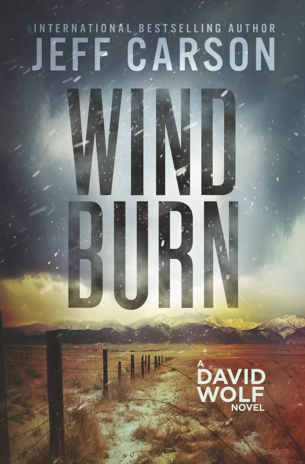 Wind Burn (David Wolf Mystery Thriller Series #19) by Jeff Carson