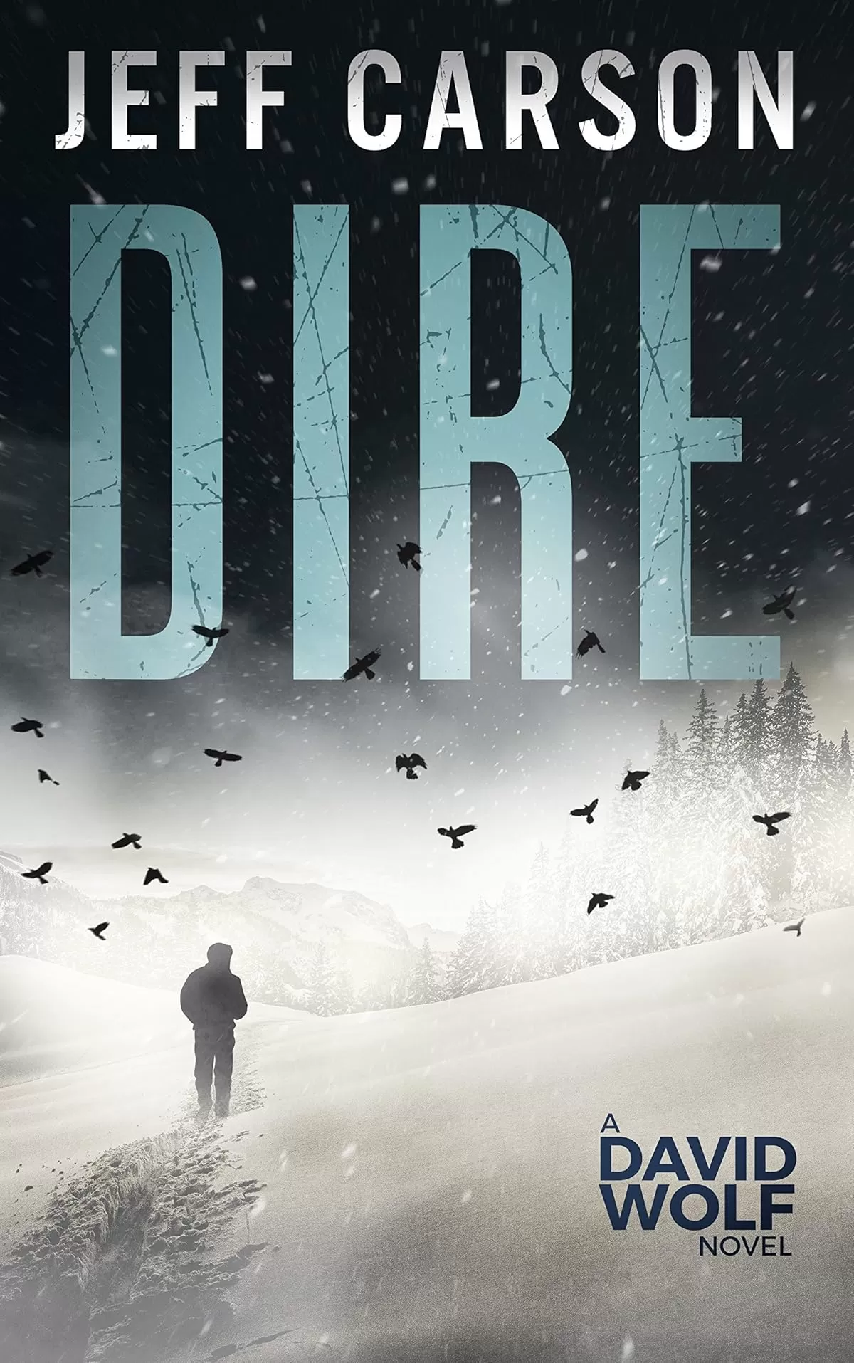 Dire (David Wolf Mystery Thriller Series #8) by Jeff Carson