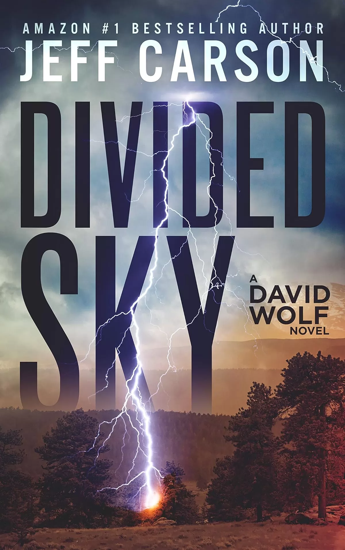 Divided Sky (David Wolf Mystery Thriller Series #13) by Jeff Carson