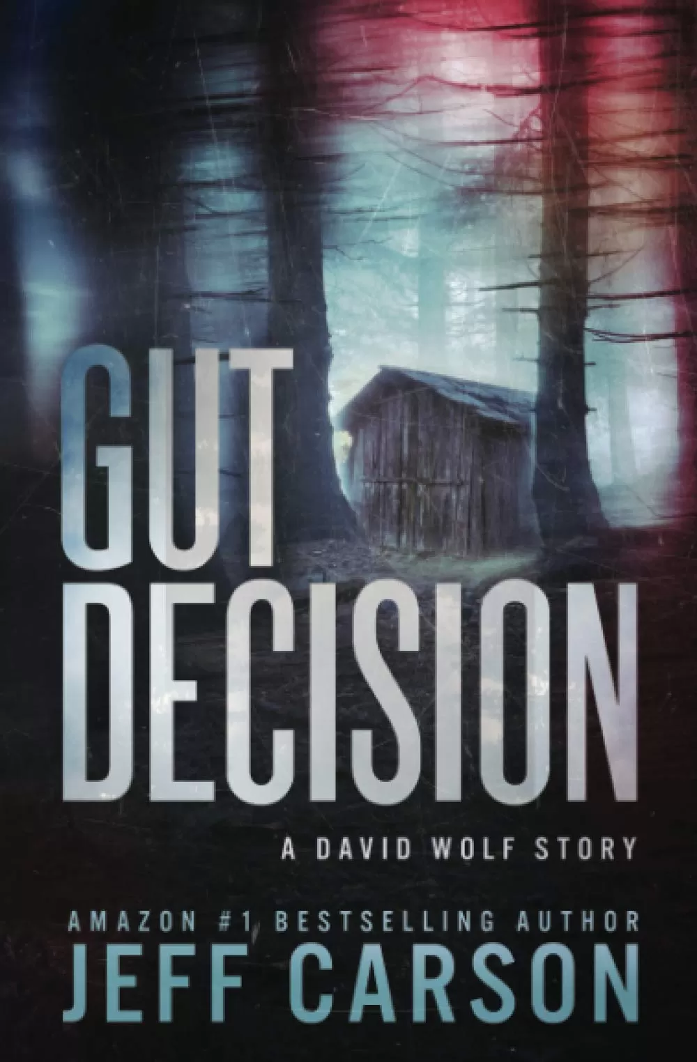 Gut Decision (David Wolf Mystery Thriller Series #0.5) by Jeff Carson