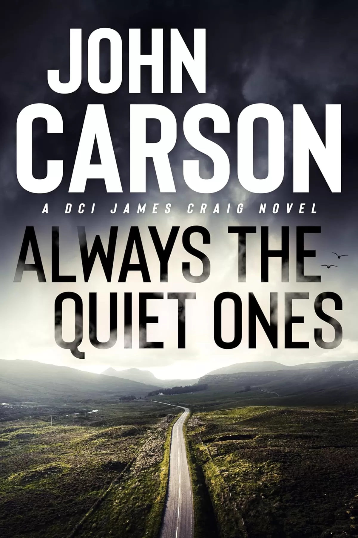 Always The Quiet Ones (DCI James Craig #6) by John Carson