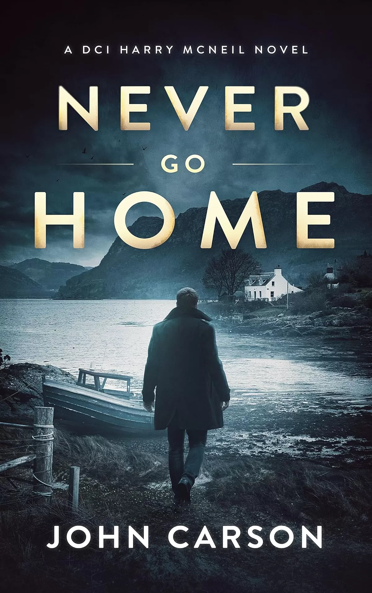 Never Go Home (A DCI Harry McNeil Crime Thriller #15) by John Carson
