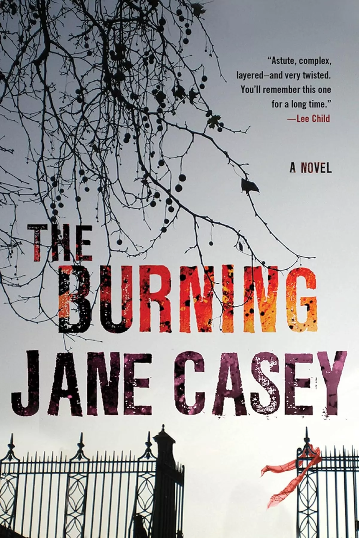 The Burning (Maeve Kerrigan #1) by Jane Casey