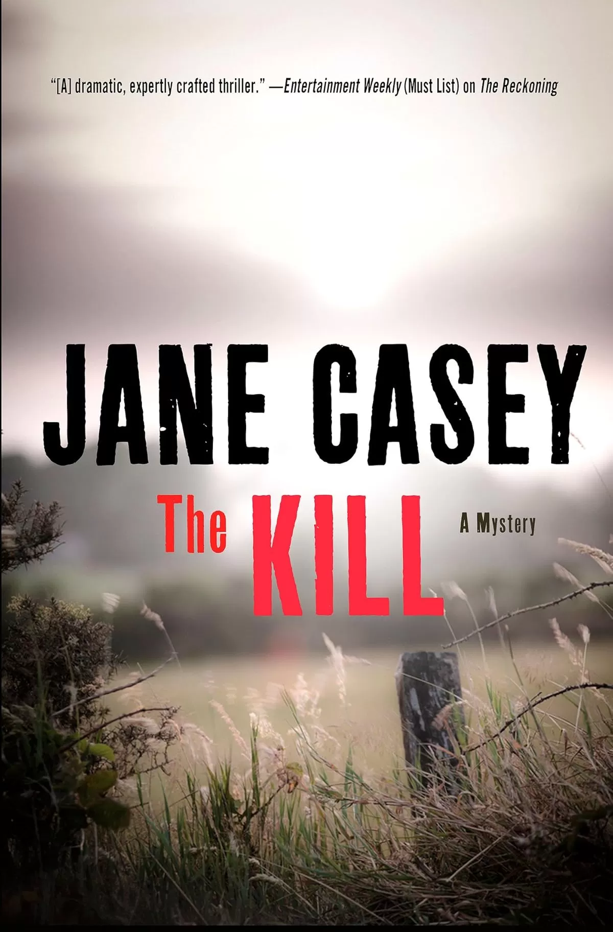 The Kill (Maeve Kerrigan #5) by Jane Casey