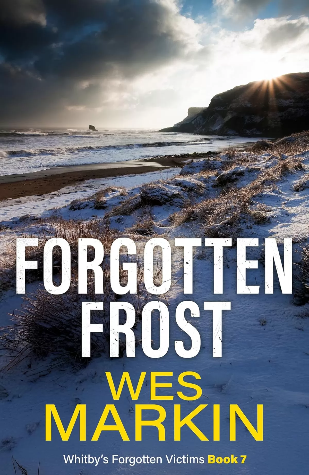 Forgotten Frost (Whitby's Forgotten Victims #7) by Wes Markin