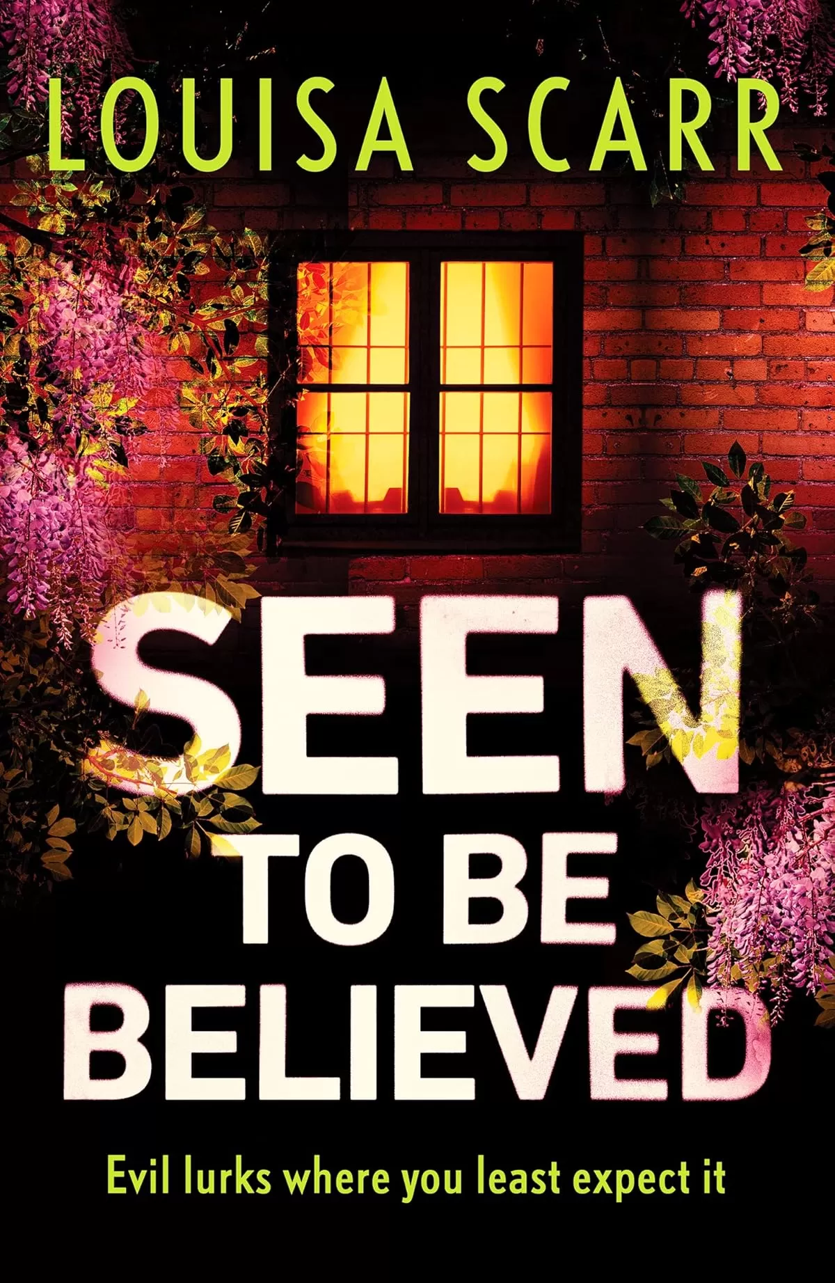 Seen to Be Believed (Butler & West #4) by Louisa Scarr