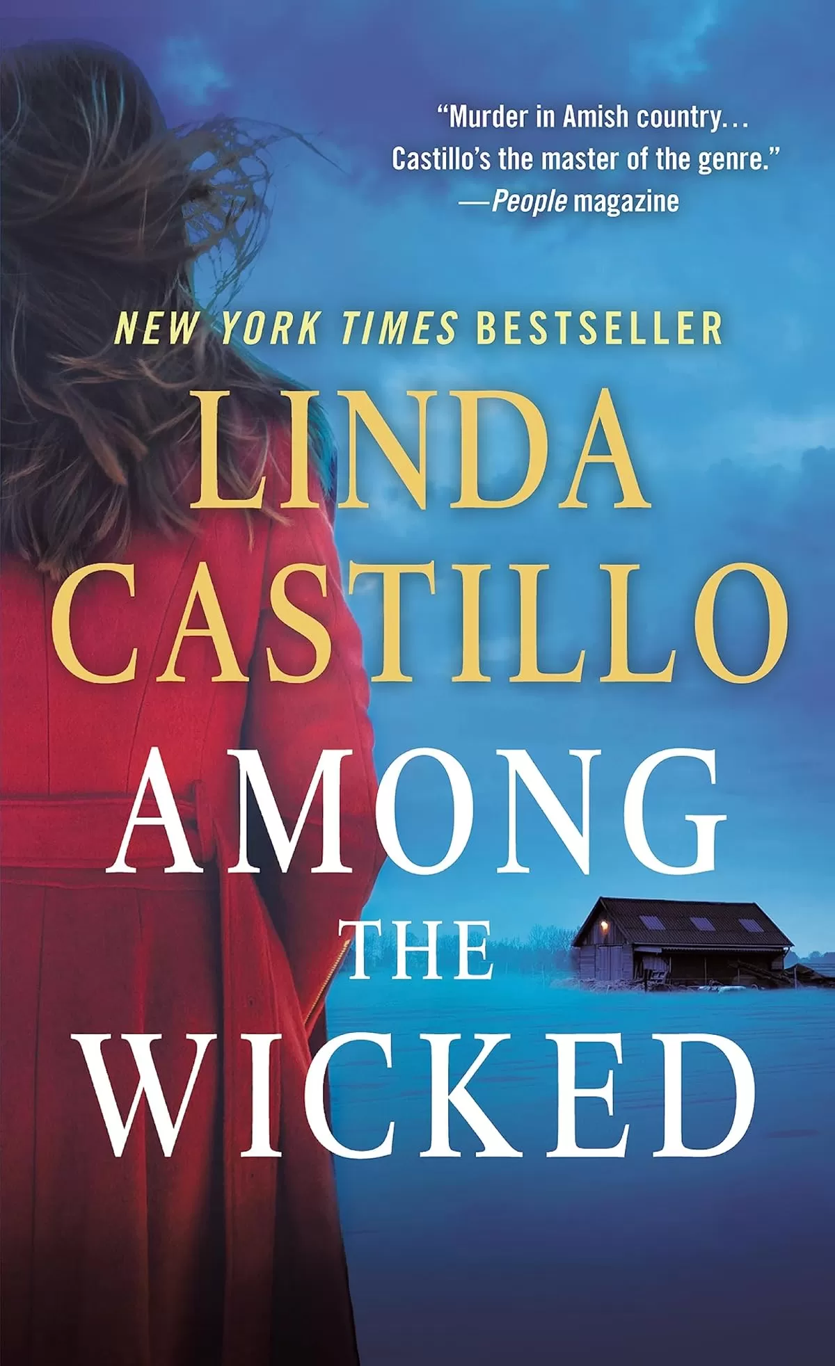Among the Wicked (Kate Burkholder #8) by Linda Castillo
