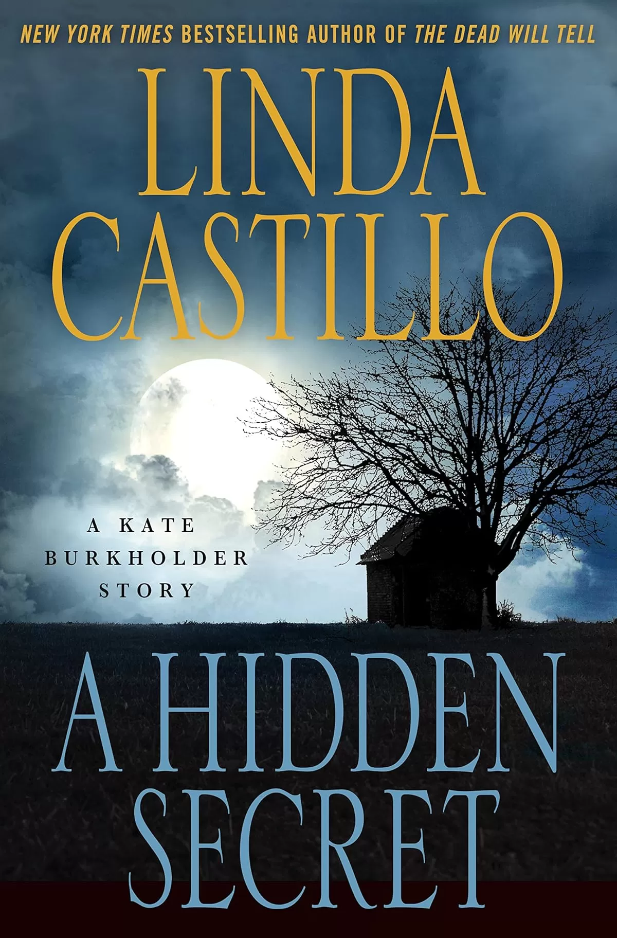 A Hidden Secret (Kate Burkholder #6.5) by Linda Castillo
