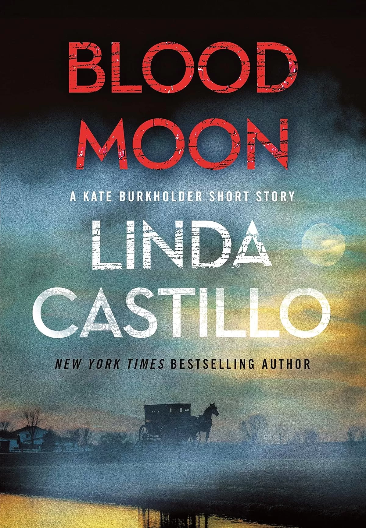 Blood Moon (Kate Burkholder #13.5) by Linda Castillo