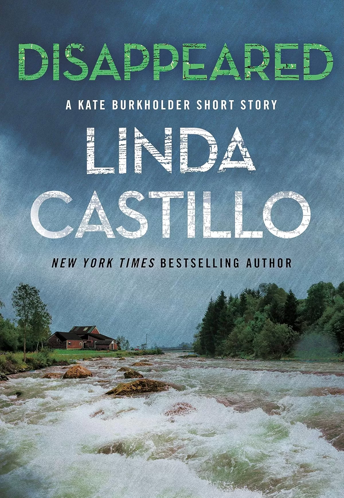 Disappeared (Kate Burkholder #12.5) by Linda Castillo