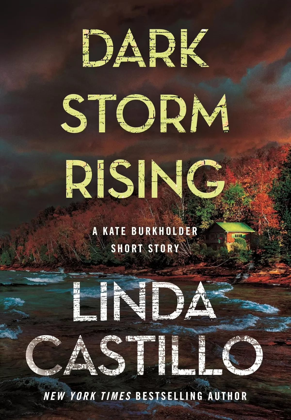 Dark Storm Rising (Kate Burkholder #15.5) by Linda Castillo