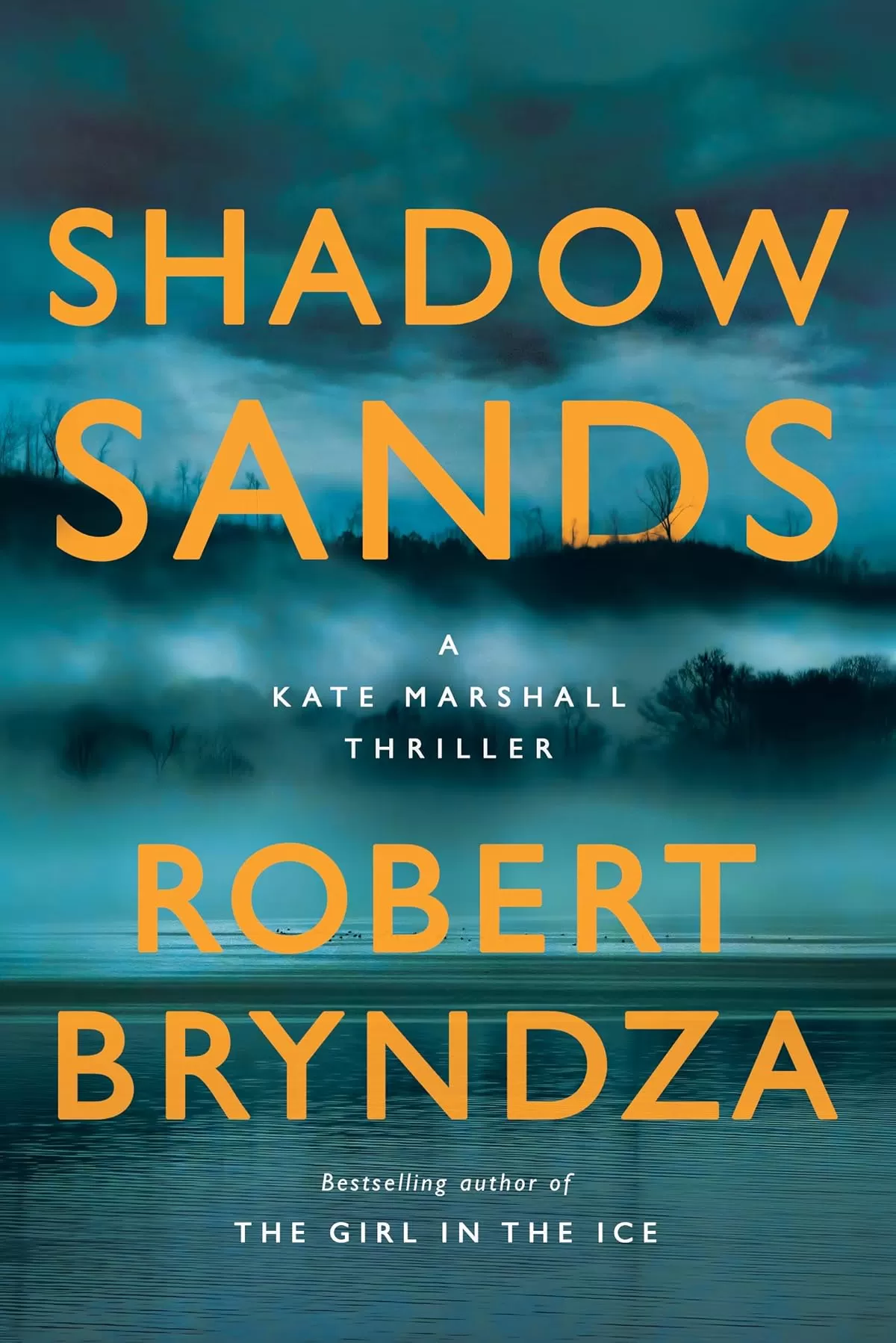 Shadow Sands (Kate Marshall #2) by Robert Bryndza