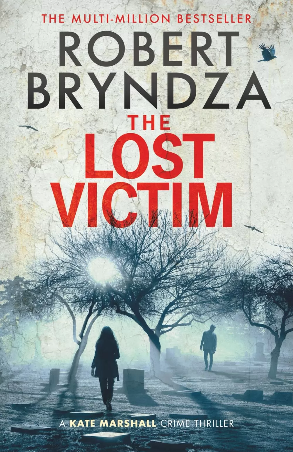 The Lost Victim (Kate Marshall #5) by Robert Bryndza