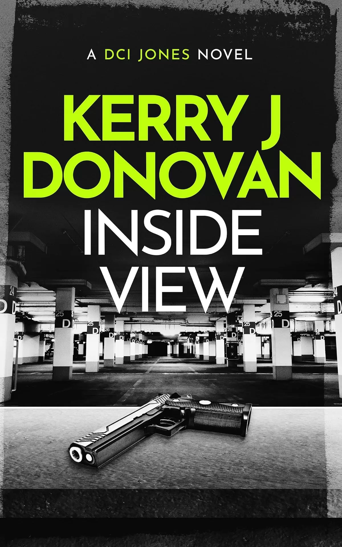 Inside View (The DCI Jones Casebook #4) by Kerry J Donovan