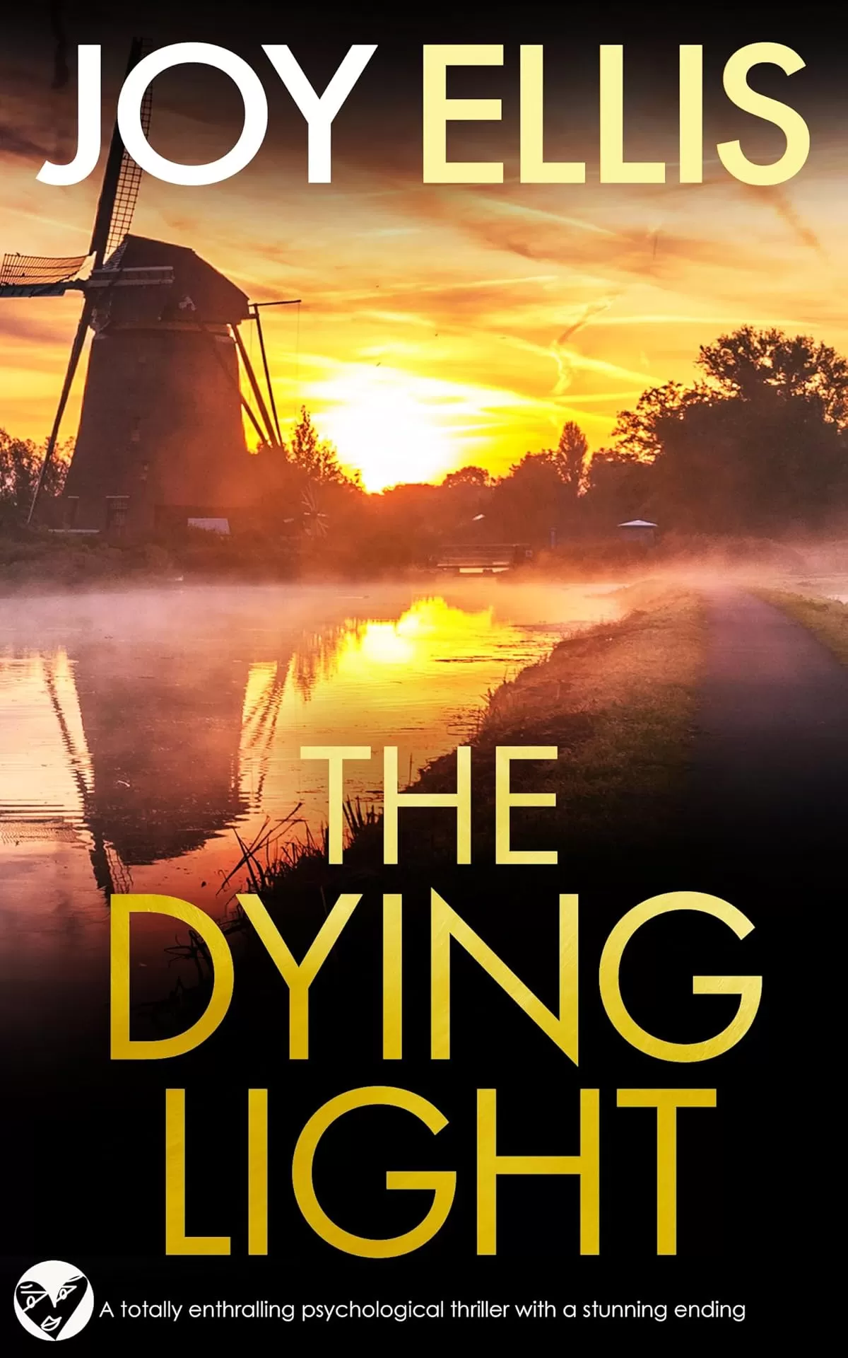 The Dying Light (Detective Matt Ballard Mystery #3) by Joy Ellis