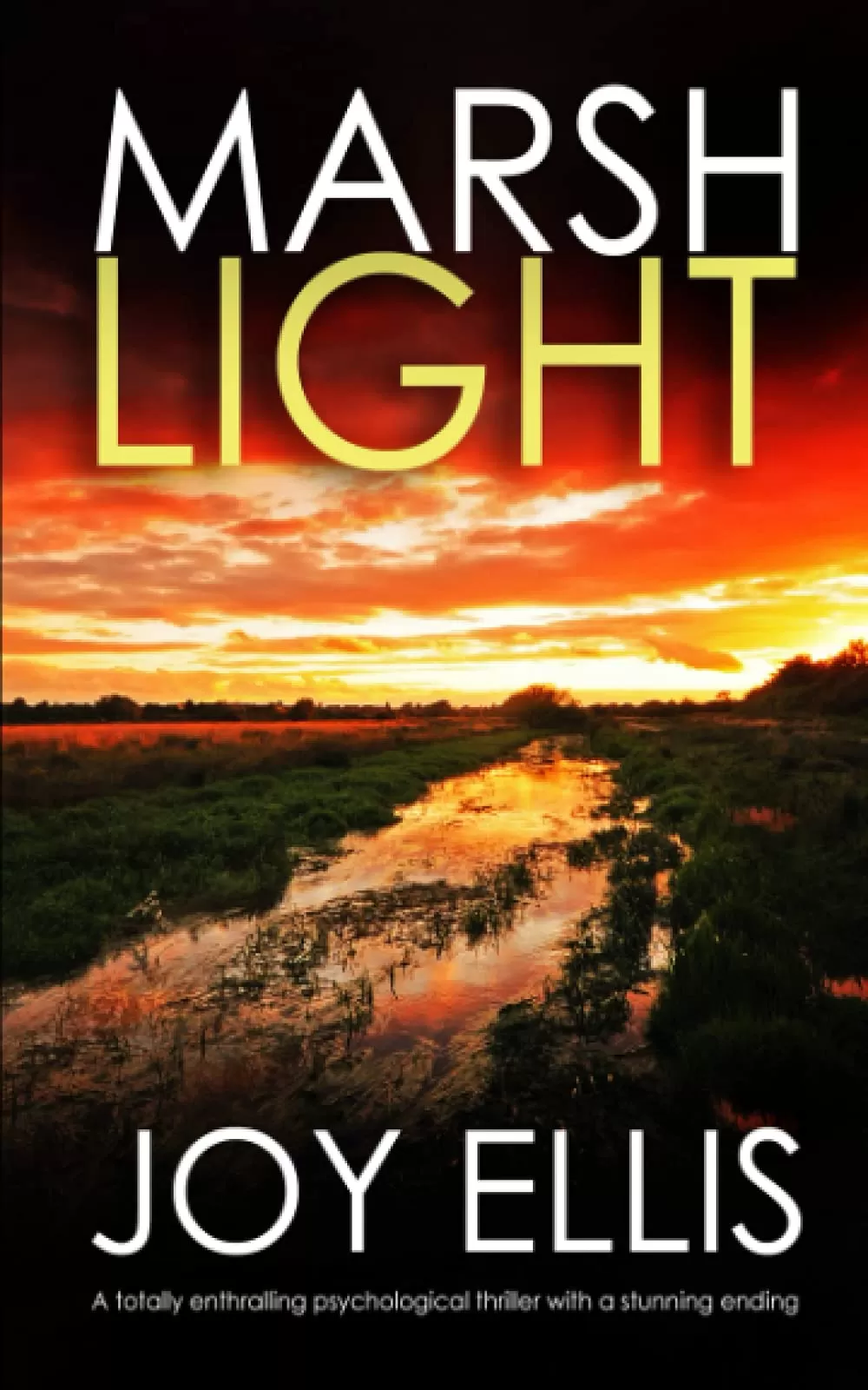 Marshlight (Detective Matt Ballard Mystery #4) by Joy Ellis