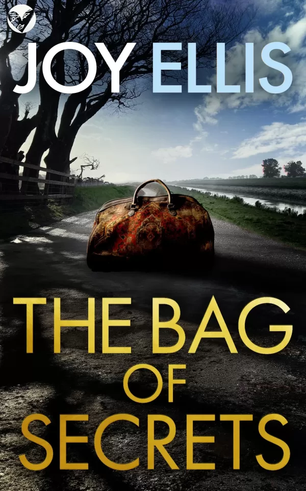 The Bag of Secrets (Detective Matt Ballard Mystery #6) by Joy Ellis