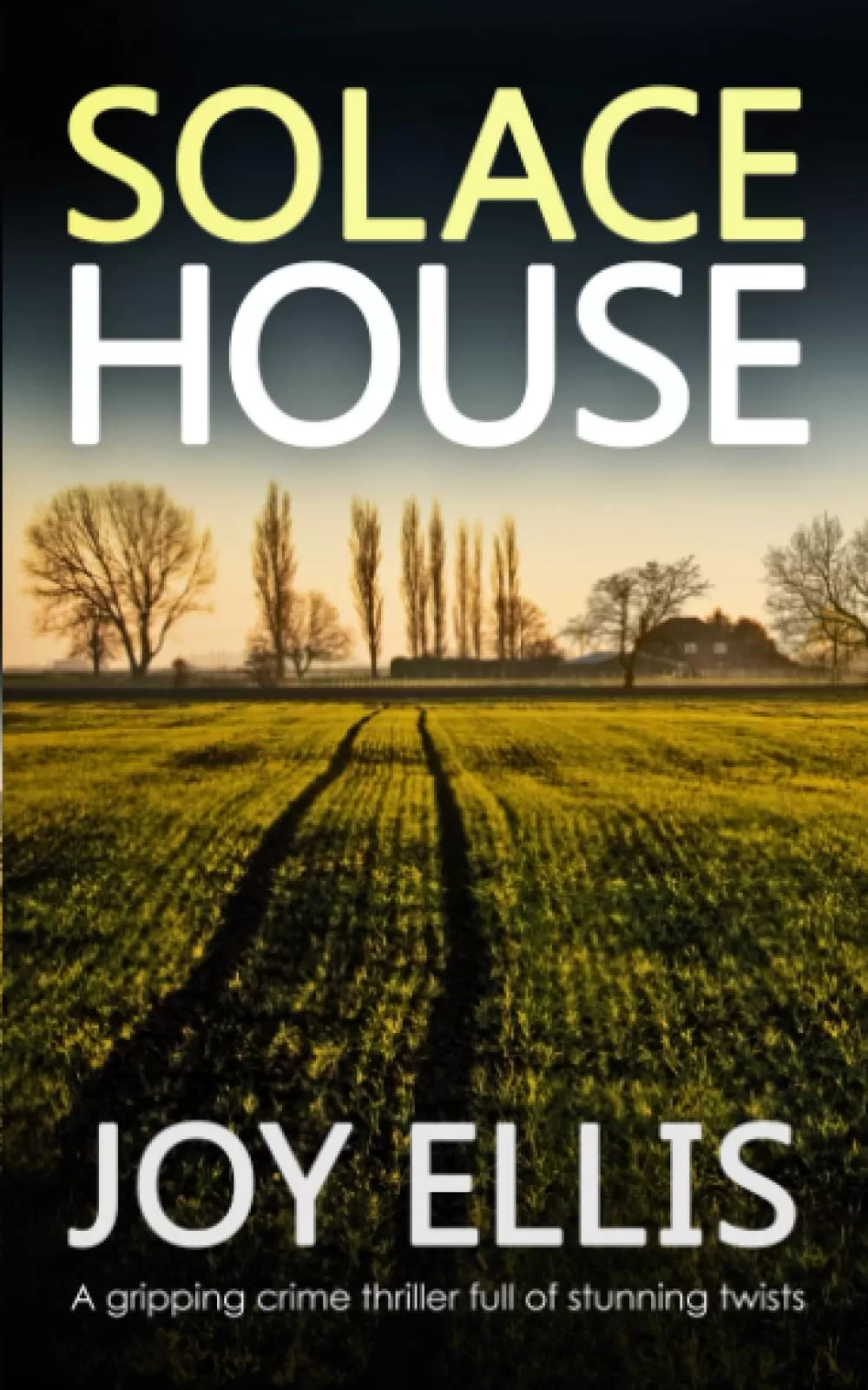 Solace House (Jackman and Evans detective mysteries #9) by Joy Ellis