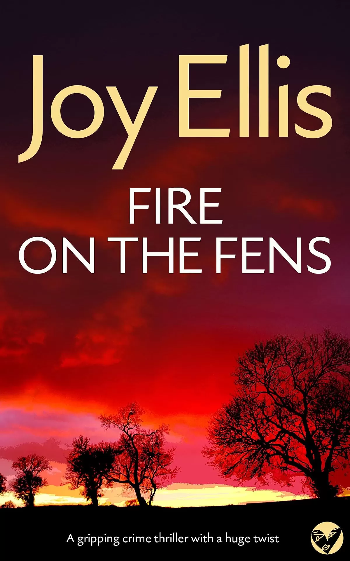 Fire on the Fens (Detective Nikki Galena Mysteries #9) by Joy Ellis