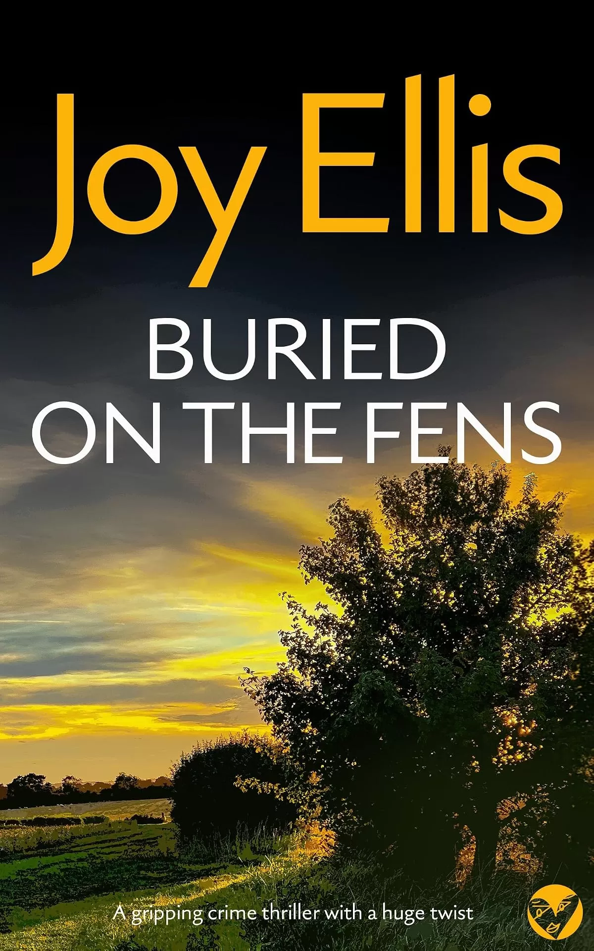 Buried on he Fens (Detective Nikki Galena Mysteries #7) by Joy Ellis