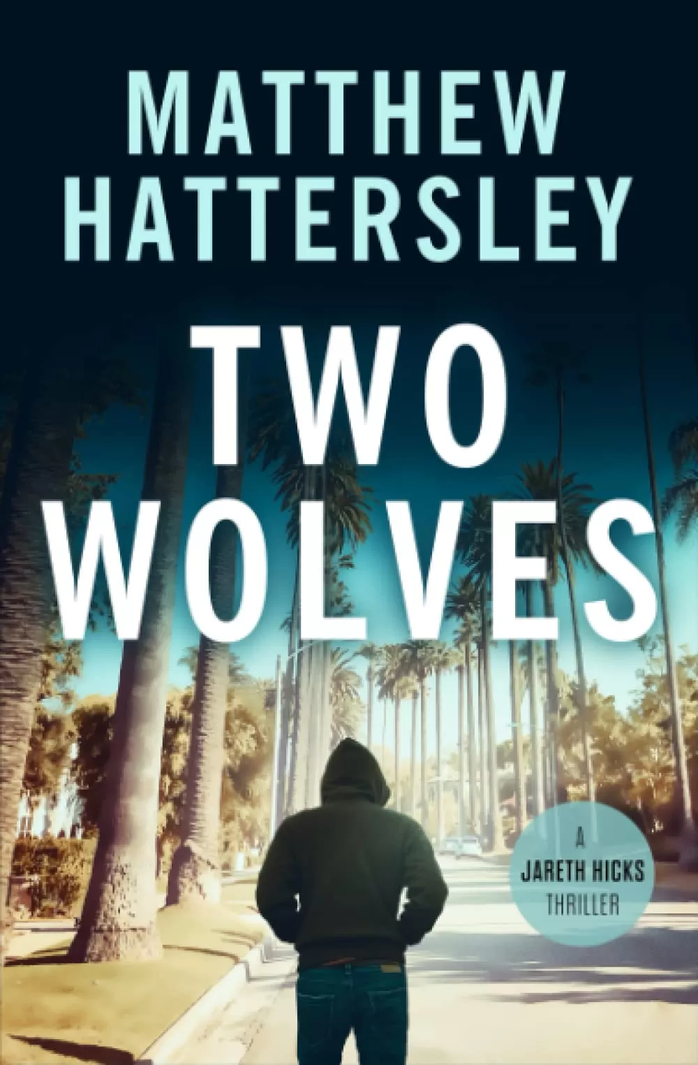 Two Wolves (Jareth Hicks Thrillers #2) by Matthew Hattersley