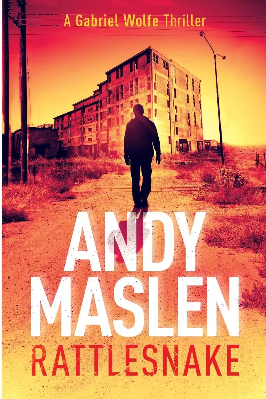 Rattlesnake (Gabriel Wolfe #6) by Andy Maslen