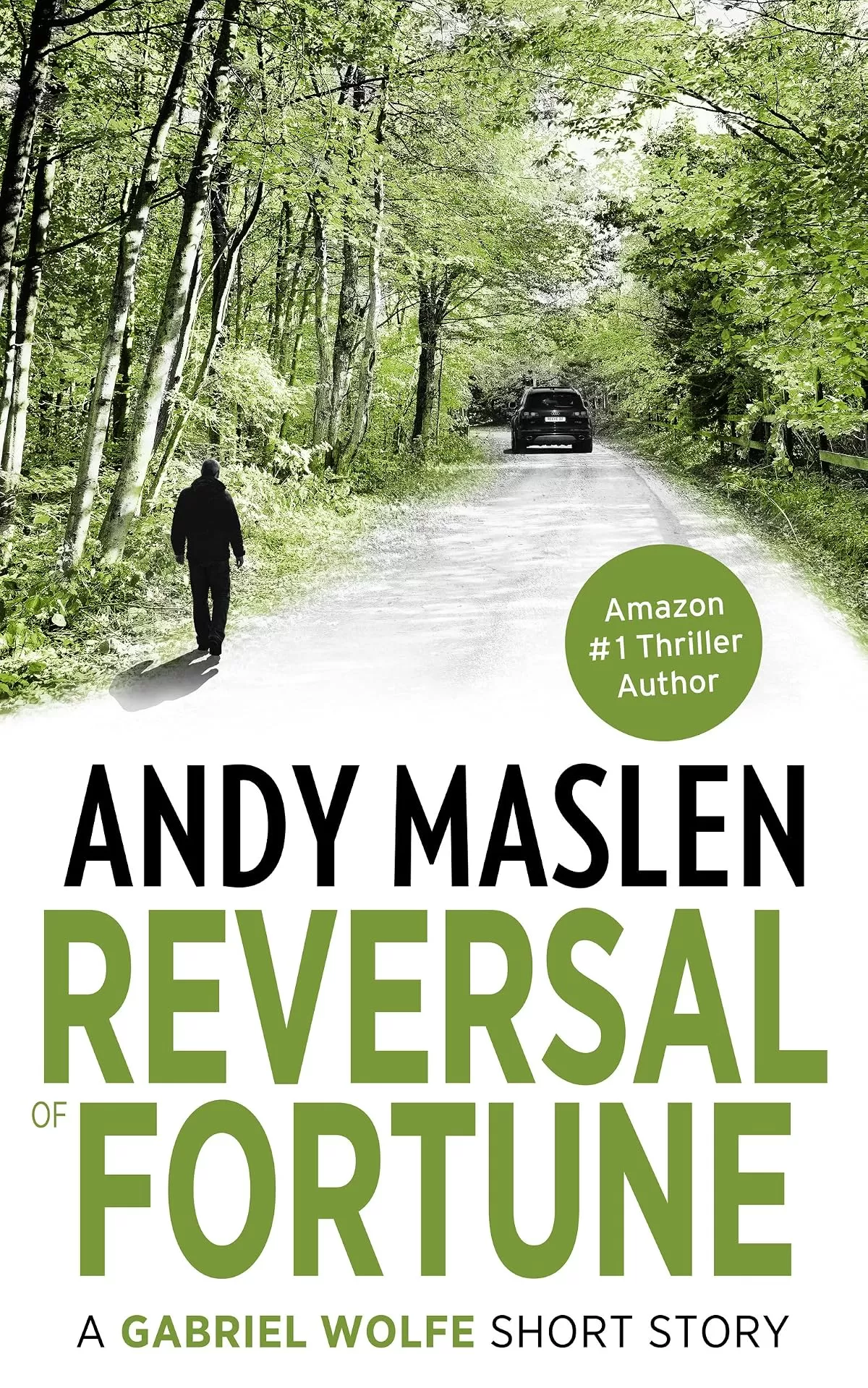 Reversal of Fortune (Gabriel Wolfe #1.5) by Andy Maslen