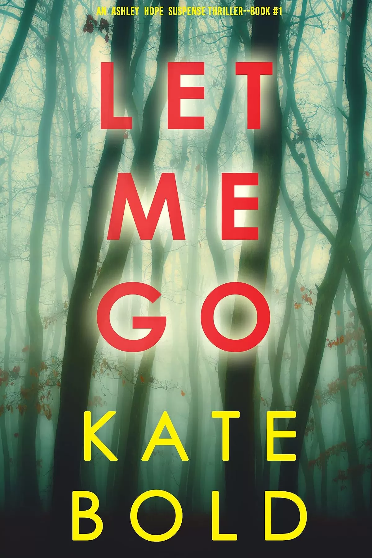 Let Me Go (Ashley Hope #1) by Kate Bold