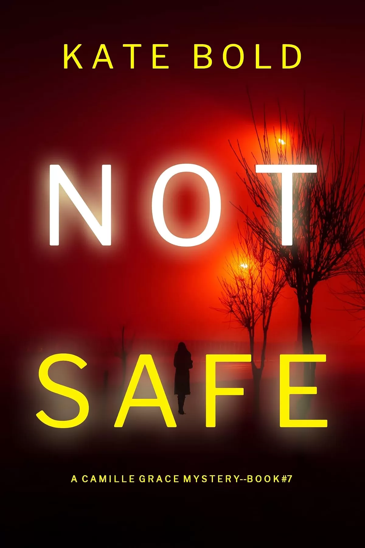 Not Safe (Camille Grace #7) by Kate Bold